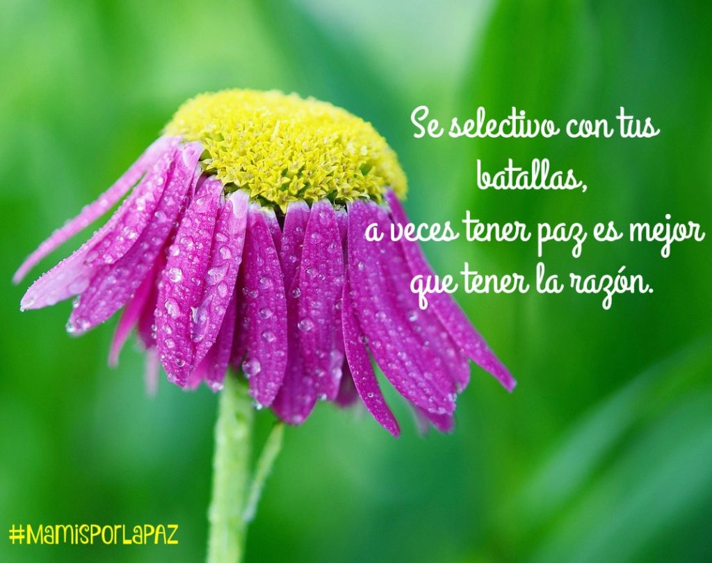 Se selectivo con tus batallas, a veces tener paz es mejor que tener la razón. #MamisPorLaPAZ