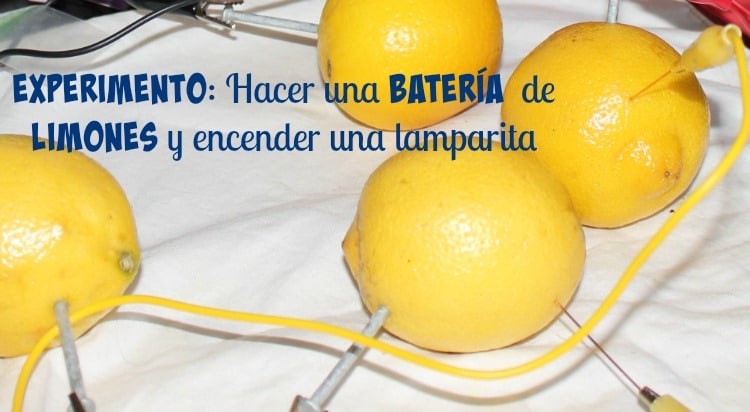 experimento stembox