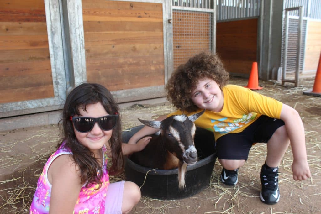 Gaspi y Sarah con animales en la granja