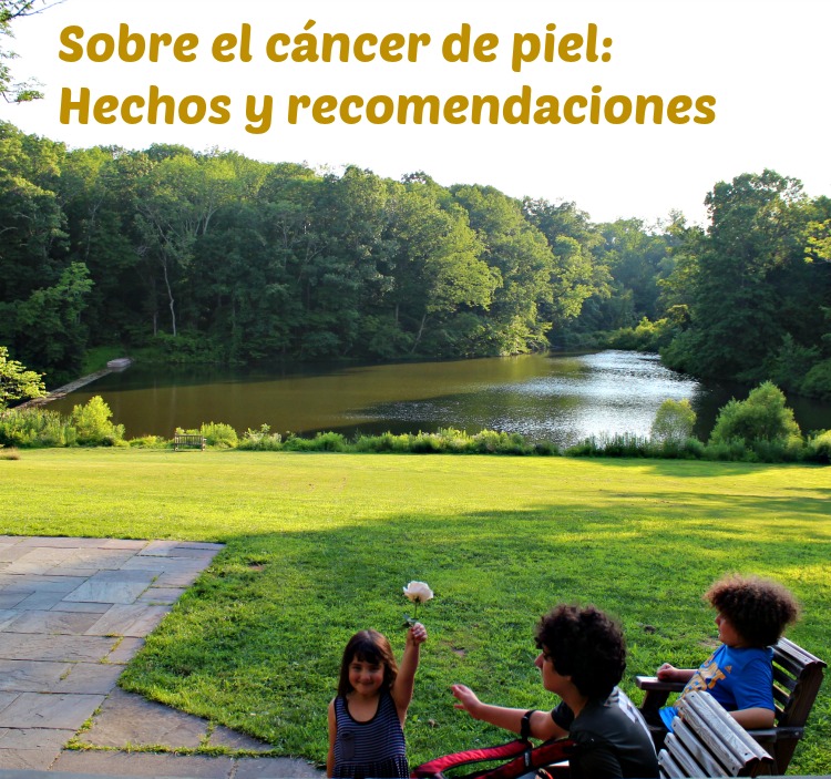 cáncer, sol, piel