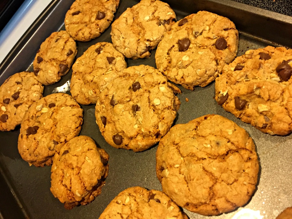 cookies, chocolate chips, avena, cookies, receta