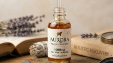 A glass dropper bottle of Aurora wellness tincture labeled 'Seeking Equilibrium' placed on a natural stone surface, surrounded by lavender and an open book, symbolizing holistic wellness and calm