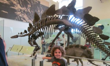 natural history nyc museum