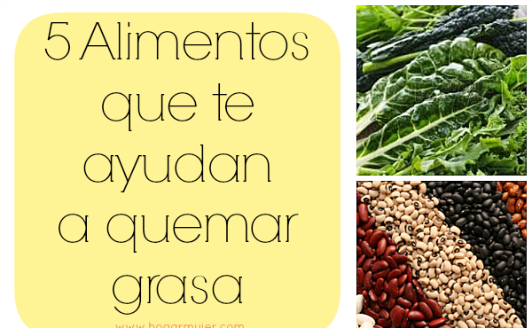 dieta, alimentación,