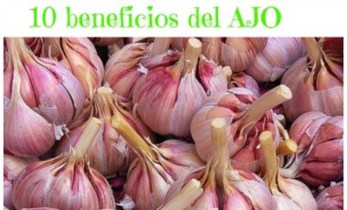 10 beneficios del ajo