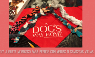 perro, mascota, diy, manualidad, craft, mordicos perro