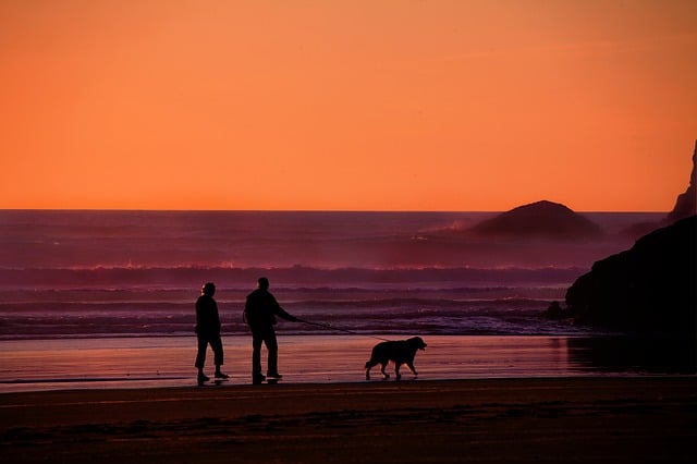 retirement, life, grandmother, grandfather