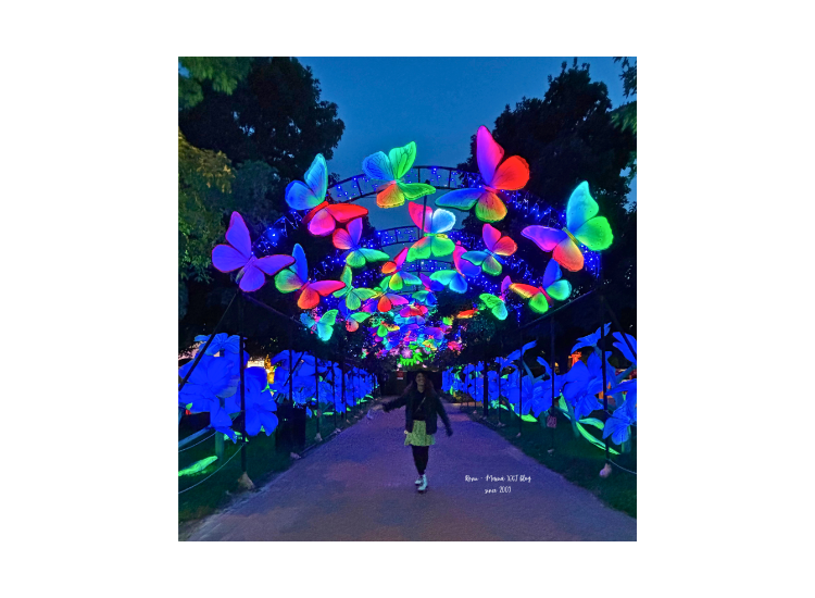 Romina paseando de noche en el Philadelphia Chinese Lantern Festival junto a una instalación de mariposas luminosas en Franklin Square.
